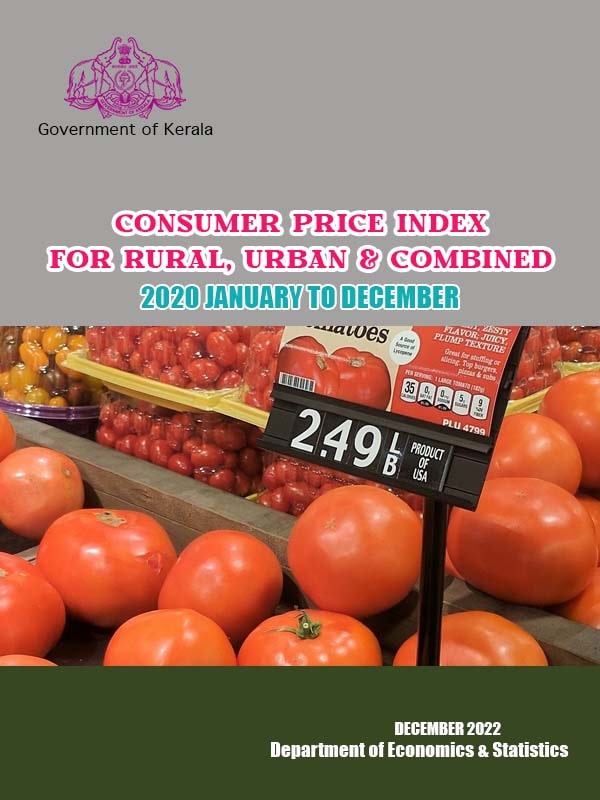 Consumer Price Index (R/U/C) Jan to Dec 2020