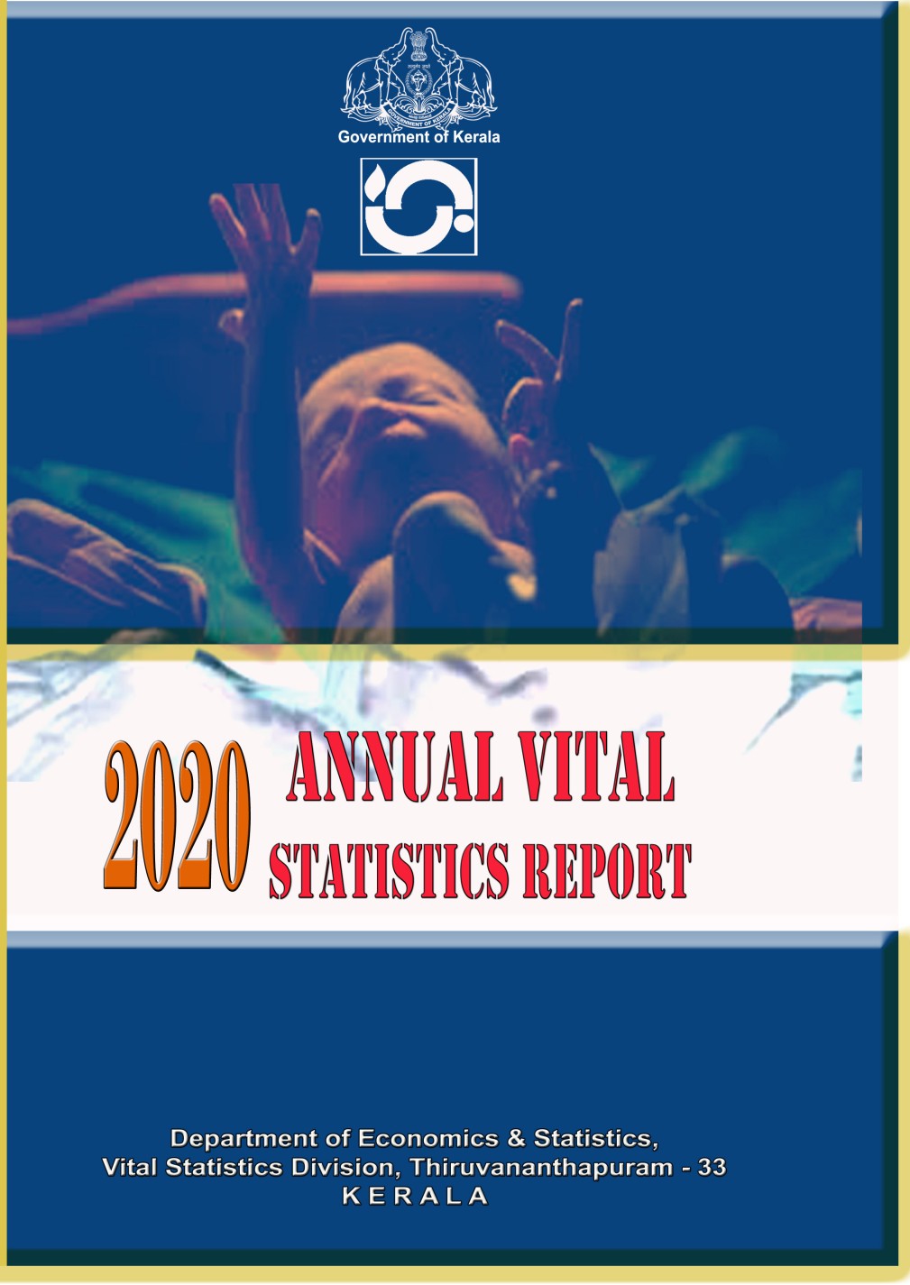 Annual Vital Statistics Report 2020