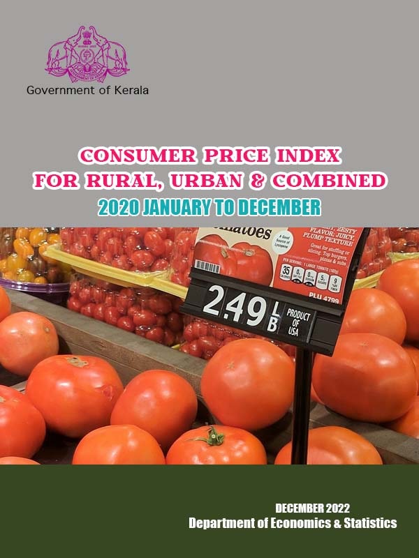 CONSUMER PRICE INDEX (R/U/C)-2020