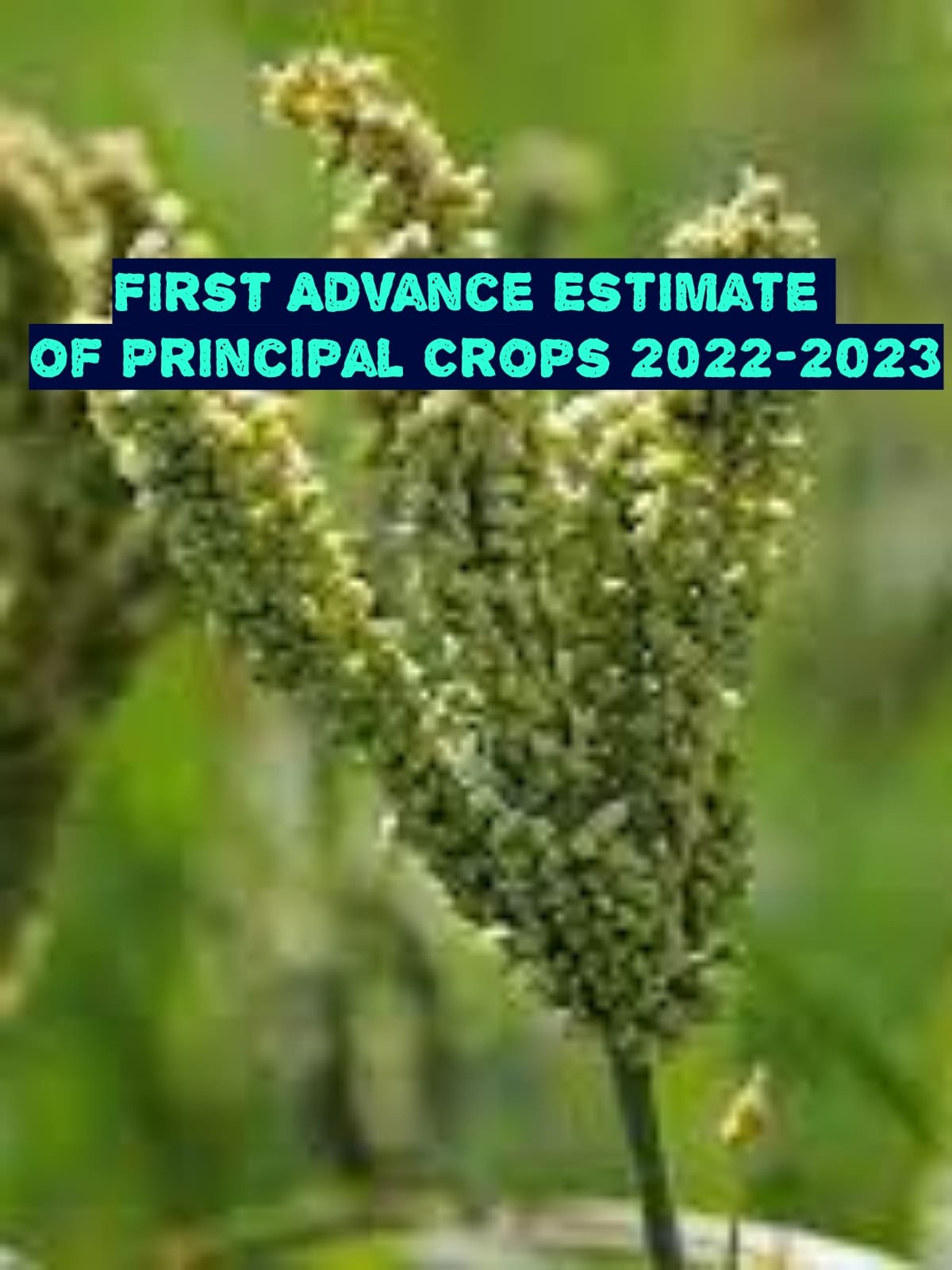 First Advance estimate of area and production of crops 2022-23