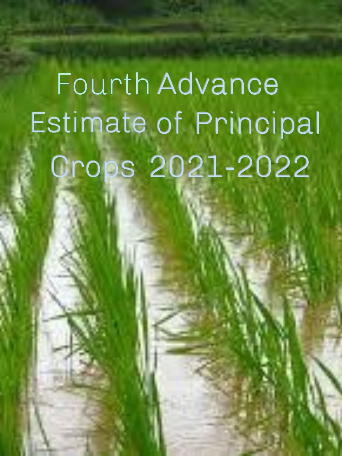 Fourth Advance estimate of area and production of crops 2021-22