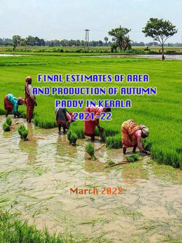 Final estimate of area and production of autumn paddy 2021-22