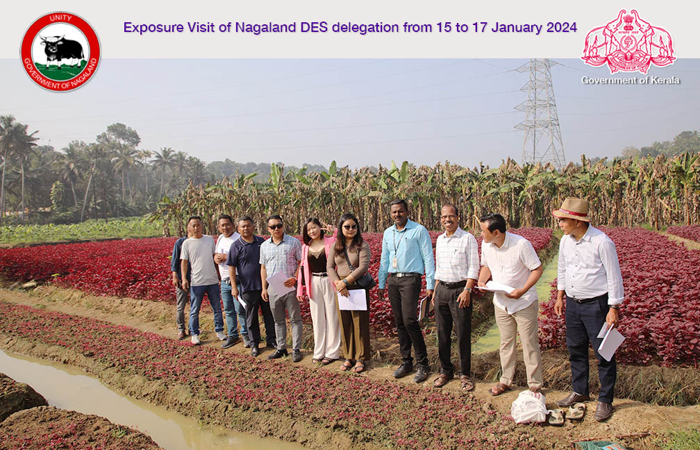 Field visit of Nagaland DES delegation for familiarisation of Crop Cutting experiments