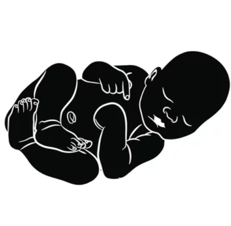 Crude Birth Rate