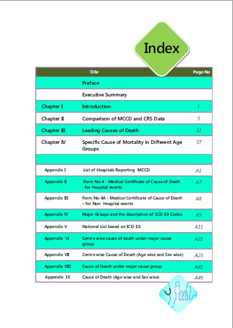 Report on Medical Certificate on Cause of Death 2017